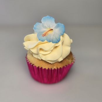 Tr3s Leches Cupcakes - Lilikoi Passion - Cupcakes Near Me - Humble, Texas Tr3s Leches Cupcakes - Lilikoi Passion - Cupcakes Near Me - Humble, Texas