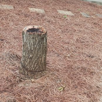 ALC Contracting - Did not grind or remove stump as promised. - Tree Services Near Me