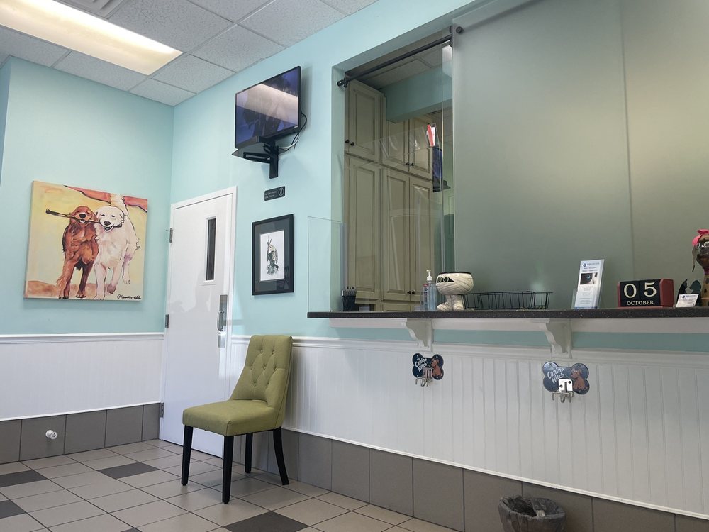 JACKSONVILLE ANIMAL EYE CLINIC Updated August 2024 14 Reviews