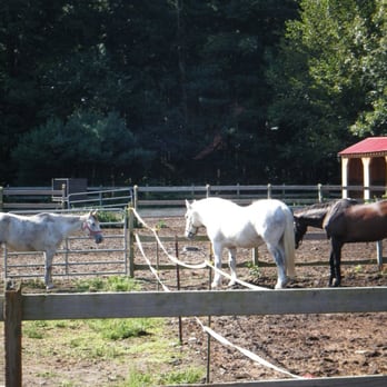 Goddard Memorial State Park - Lots of stinky horses - Beaches Near Me - Warwick, Rhode Island