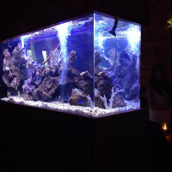 Pagan Idol - Fish tank inside - Tiki Bars Near Me - San Francisco, California Pagan Idol - Fish tank inside - Tiki Bars Near Me - San Francisco, California