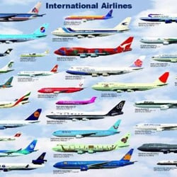 Habib Hamidi Travel