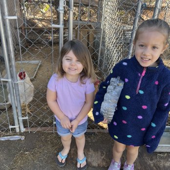 GoneStraw Farms - Checking out the employees. - CSA Near Me - Riverside, California