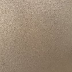 Cavalier Inn Incorporated - Ants on bathroom wall