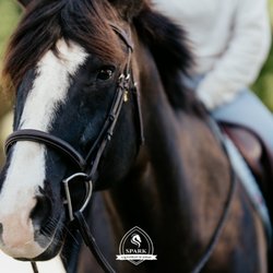 Spark Equestrian Academy