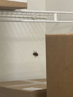 1800 Broadway Apartments