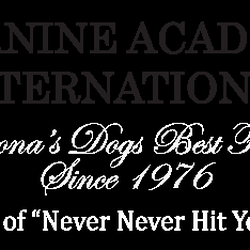 A Canine Academy International