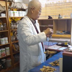 Oriental Healing Art Institute - Dr. Gao preparing an herbal prescriptions.  All prescriptions are custom based on a  patients' needs.