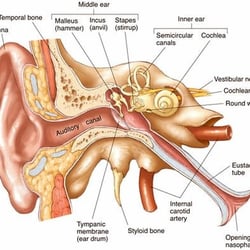 Sound Solutions Hearing Care