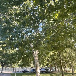 Community Park