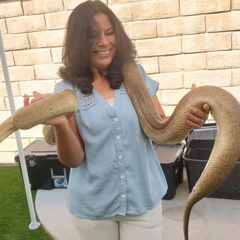 Kids Reptile Parties - Party & Event Planning Near Me Kids Reptile Parties - Party & Event Planning Near Me