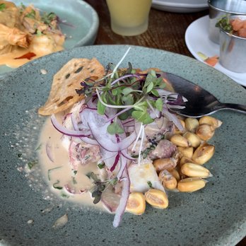 Surfish Bistro - Octopus ceviche - Latin American Near Me - Brooklyn, New York Surfish Bistro - Octopus ceviche - Latin American Near Me - Brooklyn, New York