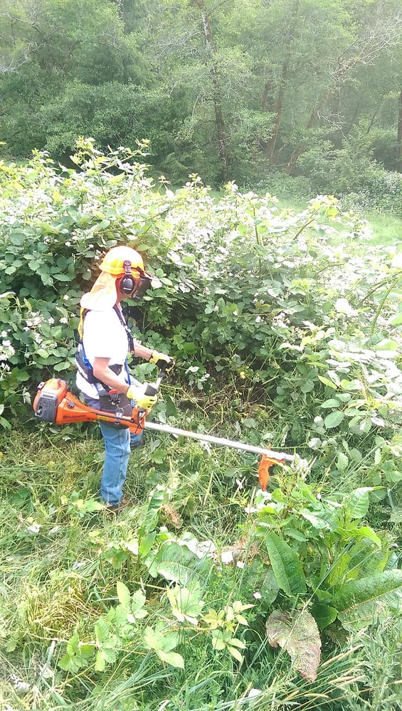 PHIL’S SAW SHOP Updated September 2024 399 Nopal St, Florence