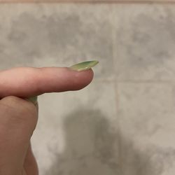 Improper nail bonding/sizing