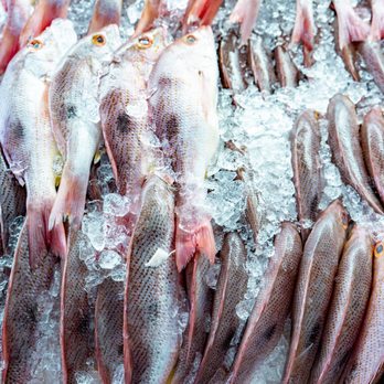 OCEAN2FISH SEAFOOD MARKET - Updated November 2025 - 55 Photos