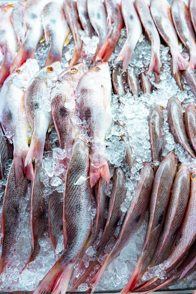 OCEAN2FISH SEAFOOD MARKET Updated March 2025 55 Photos 11780 North Kendall Dr, Miami