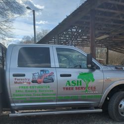 Alto's Tree Service