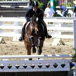 Flintridge Riding Club - Allison