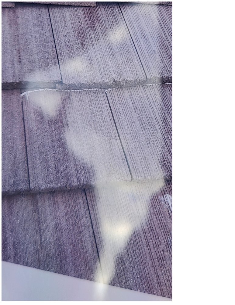 Slide of Dragon's Roofing