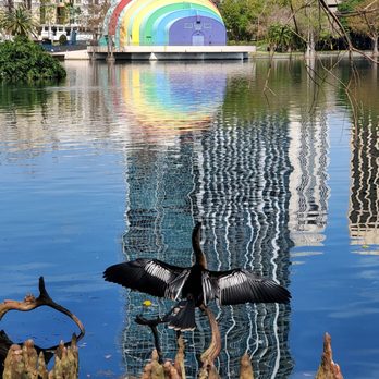 Lake Eola Park - City, theater and nature - Parks Near Me - Orlando, Florida Lake Eola Park - City, theater and nature - Parks Near Me - Orlando, Florida