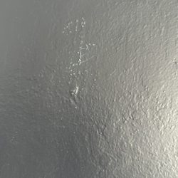 Benjamin Moore Creative Paint - Wall
