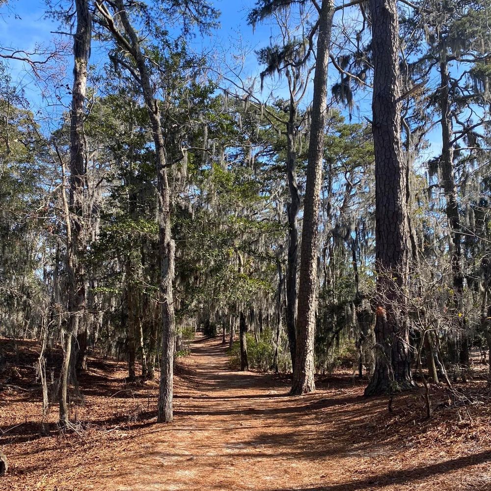 First Landing State Park - Parks Near Me - Virginia Beach, Virginia