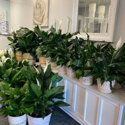 Broom's Florist - Peace Lily's
