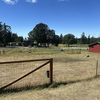 The Farm at Krystal Acres - Attraction Farms Near Me - Friday Harbor, Washington