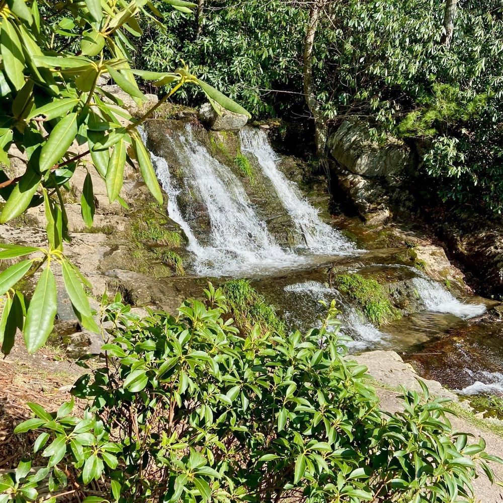 Top 10 Best Things to Do near Newland, NC 28657 Last Updated August