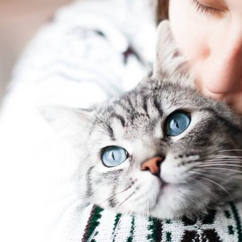 Hereafter Pets - Pet Cremation Services Near Me - Abbotsford, British Columbia