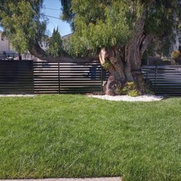 Modern Black powder coated fence. Modern Black powder coated fence.