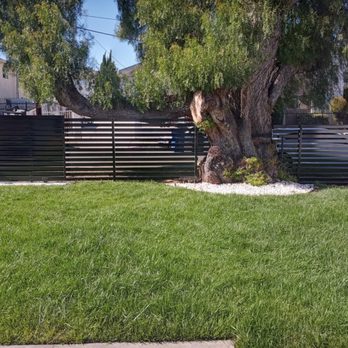 G Squad Fencing - Modern Black powder coated fence. - Fences & Gates Near Me G Squad Fencing - Modern Black powder coated fence. - Fences & Gates Near Me