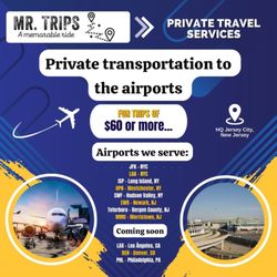 Mr Trips