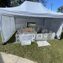 Lil Cutie’s Soft Play, LLC - Classic Package for a Thanksgiving/Birthday party.