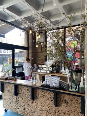 The Dusty Knuckle Bakery by null