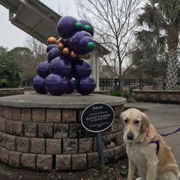 Mardi Gras Dog