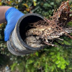 No Limit Sewer Solutions