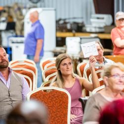Red Door Auctions