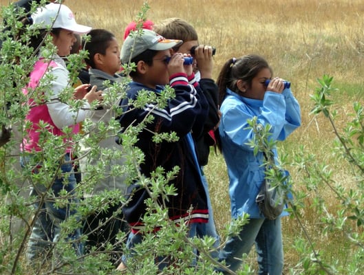 Santa Fe Botanical Garden by null