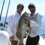 Pelagic Charters