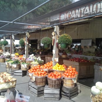 Virginia Carolina Enterprises - Fruits & Veggies Near Me - Cana, Virginia Virginia Carolina Enterprises - Fruits & Veggies Near Me - Cana, Virginia