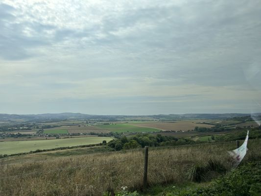 The Red Lion by null