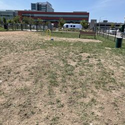 Bark Park Omaha