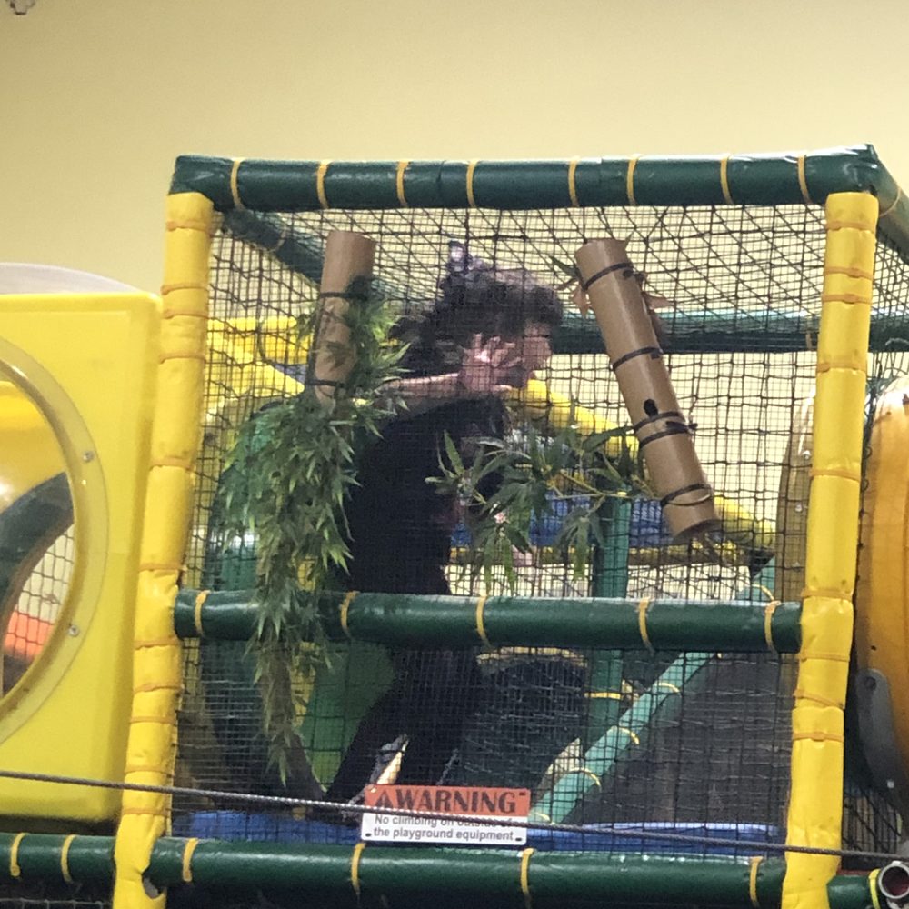 Party Jungle - Party & Event Planning Near Me - Staten Island, New York Party Jungle - Party & Event Planning Near Me - Staten Island, New York