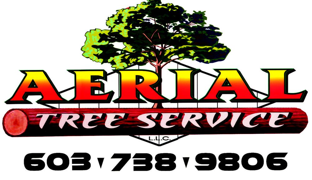 AERIAL TREE SERVICE Updated September 2024 508 Mayhew Turnpike