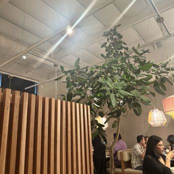 Soup Shop - Very nice decor - Noodles Near Me - Cerritos, California Soup Shop - Very nice decor - Noodles Near Me - Cerritos, California