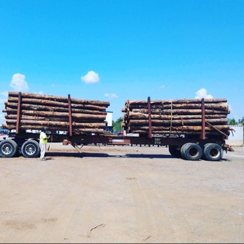 Absolute Tree - Logs from a clearing job - Tree Services Near Me