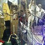 Photo of Halloween Express