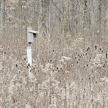 Blendon Woods Metro Park - Parks Near Me - Westerville, Ohio