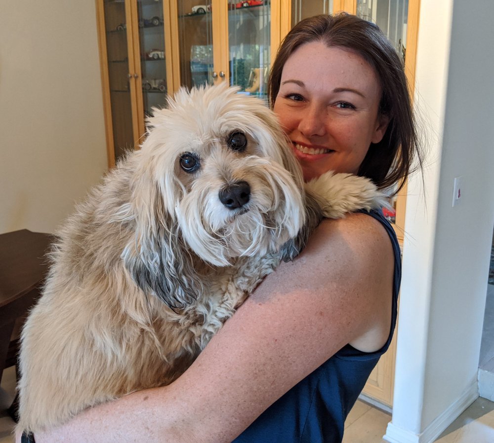 MOORPARK VETERINARY HOSPITAL 32 Photos & 85 Reviews Veterinarians